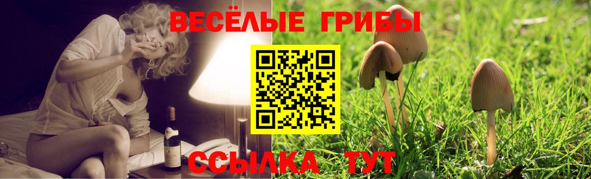 Псилоцибиновые грибы Cubensis Алушта