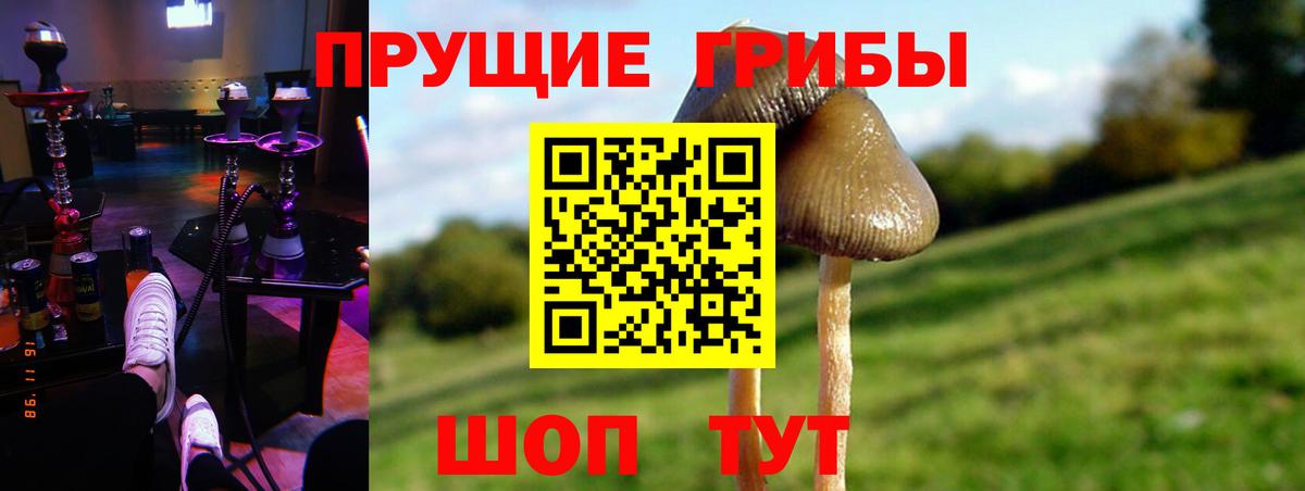 Алушта  Галлюциногенные грибы MAGIC MUSHROOMS  Вход с VPN 